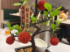 -椿记烧鹅(七星店)