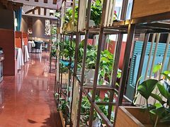 -金狮麟·新豫菜(杏石口路店)