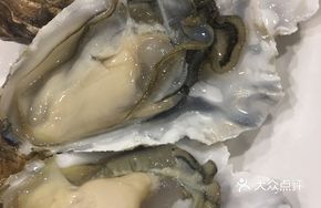 Fresh Oyster (18 pieces)
