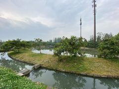 -乌村