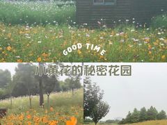 -洋湖国家湿地公园