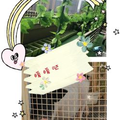 -可可天空农场(中大店)