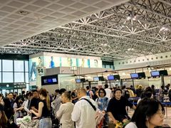 -米兰马尔彭萨国际机场