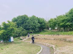 -滆湖低碳生态公园