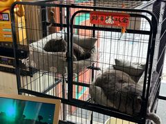 -大叔烤肉(华英路店)