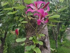 -驿舍·民國老营房院子私房菜(科学会堂店)