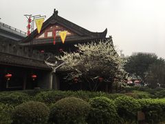 -泸州老窖景区