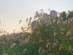 -武汉两江游览·夜游长江(汉口粤汉码头)