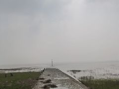 -南汇嘴观海公园