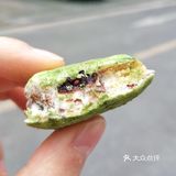 我要吐槽！