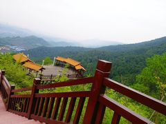 -铁山坪森林公园