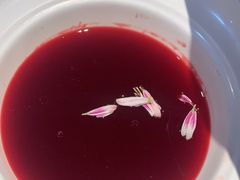 -九鼎轩脆毛肚火锅(三钢里店)