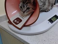 -天宠宠物医院24小时·急重症诊疗中心·全科·腔镜特色(和平分院)