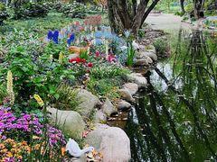 -上海共青森林公园