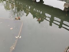 -西湖游船