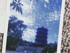 -八仙山公园