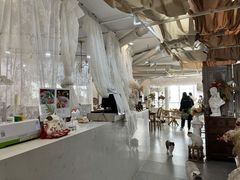 大堂-共舞时光猫咖·狗咖(新街口店)