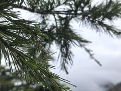 -叠溪松坪沟景区