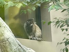 -青藏高原野生动物园