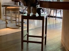 -Peet's 皮爷咖啡(东湖路手作店)