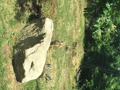 秦岭野生动物园-西安秦岭野生动物园