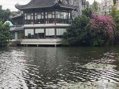 -荔湾湖公园