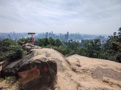 -南山植物园