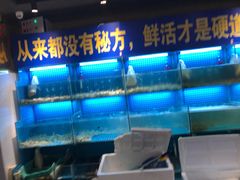 -九月海·海鲜自助(世纪东方店)