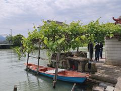 -晓琦农家菜馆·地道农家菜