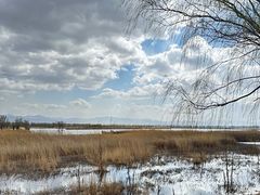 -野鸭湖国家湿地公园