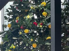 -旧雨咖啡·CoffeeFORU(黄村奥体店)