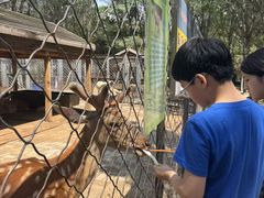 -长白岛森林公园