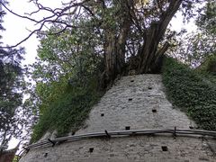 -玉泉观