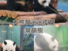 -天津市动物园