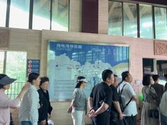 -广东惠东海龟国家级自然保护区