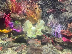 -太平洋海底世界