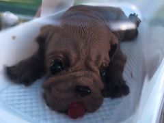 -龙山村烘焙工坊(杨庄店)