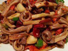 android_upload_pic-三强鸽子(胜利路店)