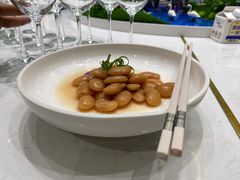-丁老爷子苏香圆