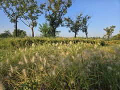 -汉长安城未央宫国家考古遗址公园