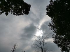 -堤角公园