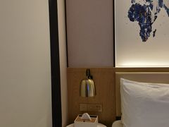 -凯里亚德酒店(深圳北站大浪商业中心店)