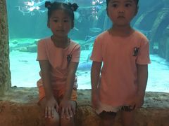 -华夏文旅西安度假区