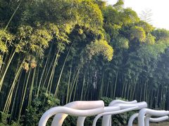 -苏州河梦清园环保主题公园