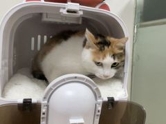 -宠颐生中康贝怡动物医院