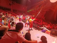 -珠海横琴长隆《卡卡虎奇遇记》