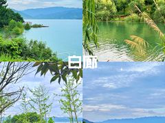 -仰天湖大草原