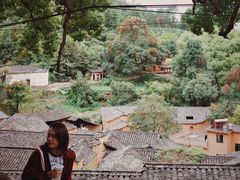 -杨家堂村