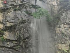 -青峰峡国家森林公园