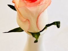 -虹御轩·传承江浙菜(虹桥店)